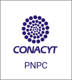 Acceso a Medios de Verificación PNPC-CONACYT
